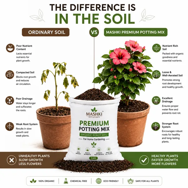 All-Purpose_Potting_Soil:_Ideal_Blend_of_Red_Soil,_Vermicompost,_Cocopeat_for_All_Indoor/Outdoor_Plants