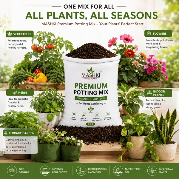 All-Purpose_Potting_Soil:_Ideal_Blend_of_Red_Soil,_Vermicompost,_Cocopeat_for_All_Indoor/Outdoor_Plants