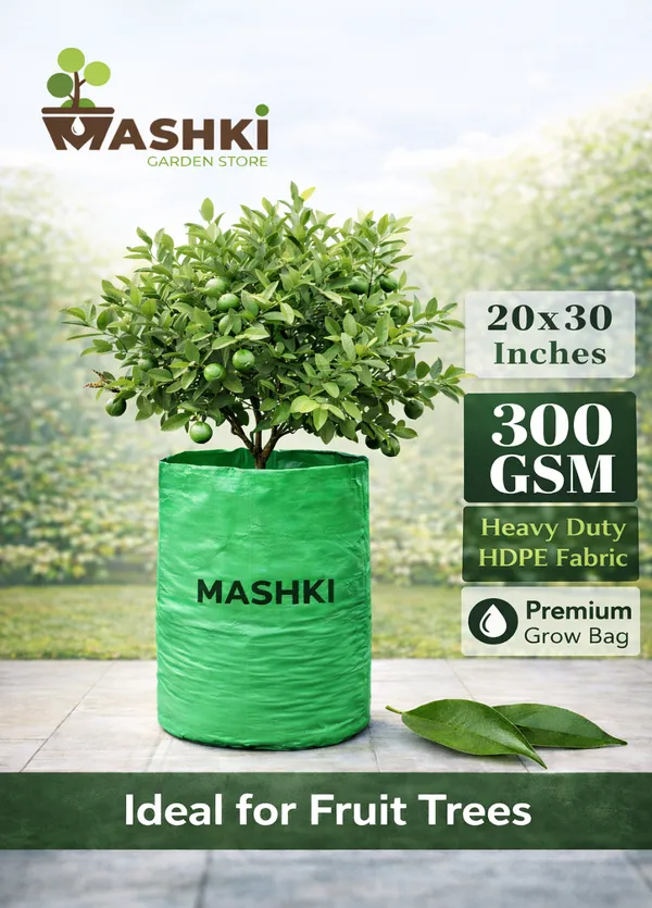 MASHKI®_20x30_Inch_Extra_Deep_Grow_Bag_for_Guava,_Dwarf_Mango_&_Fruit_Plants_|_300_GSM_Heavy_Duty_HDPE_|_Long_Life_UV_Stabilized_Tree_Planter_for_Terrace_&_Garden