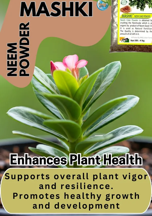 MASHKI_Neem_Fertilizer_for_Home_Garden_–_Natural_Pest_Control_&_Plant_Health_Booster_-_100%_Organic