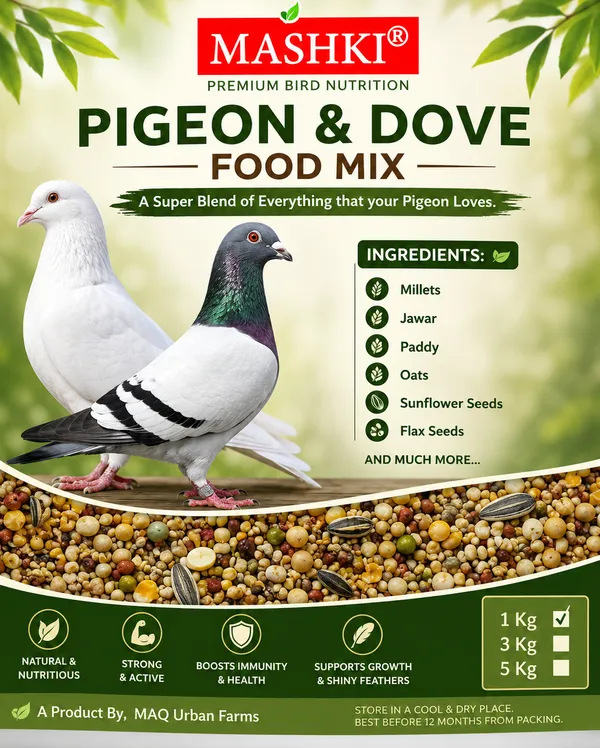 Premium_Food_Mix_For_Pigeons_&_Doves_(All_Types)_-_Multigrain,_Seed,_And_Maize_Blend_With_Essential_Ingredients_For_All_Life_Stages