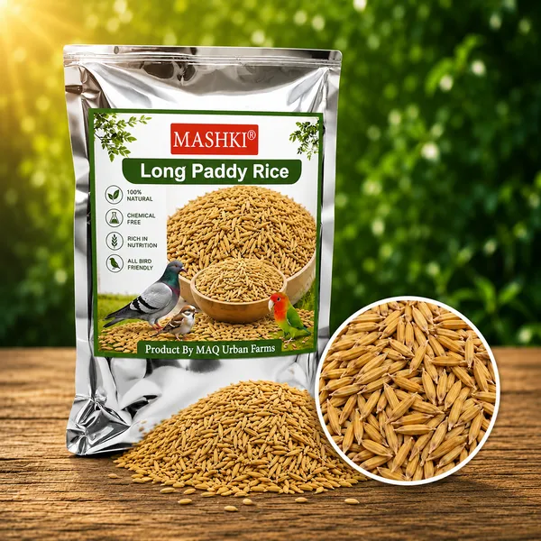 Premium_Long_Paddy_Bird_Food_|_Natural_Healthy_Grain_Feed_for_Pigeons,_Parrots_&_Pet_Birds