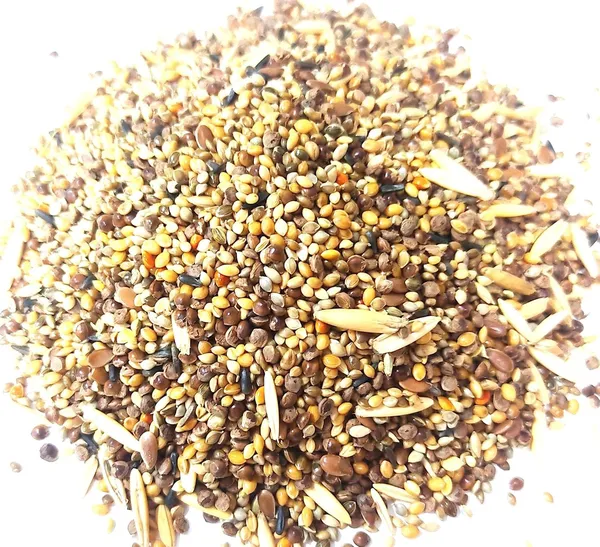 MASHKI_Budgies_&_Finches_Premium_Bird_Seed_Mix_–_16_Essential_Ingredients,_Multigrain_Nutrition_with_Oats_for_All_Life_Stages