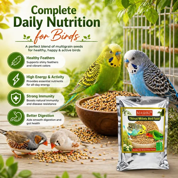MASHKI_Budgies_&_Finches_Premium_Bird_Seed_Mix_–_16_Essential_Ingredients,_Multigrain_Nutrition_with_Oats_for_All_Life_Stages