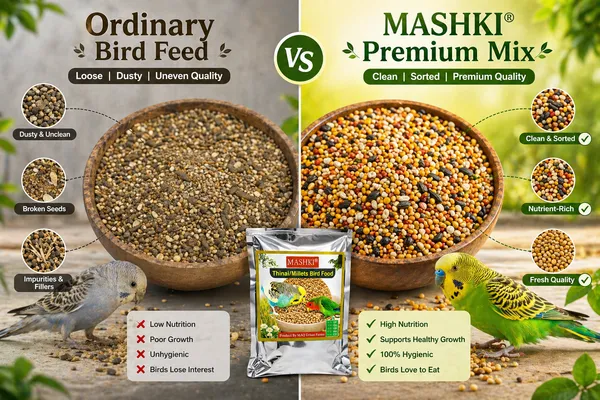 MASHKI_Budgies_&_Finches_Premium_Bird_Seed_Mix_–_16_Essential_Ingredients,_Multigrain_Nutrition_with_Oats_for_All_Life_Stages