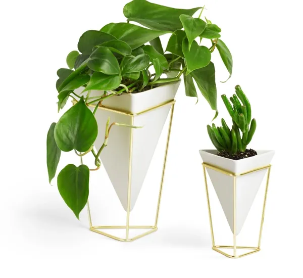 Desktop_Planter_Vase_&_Geometric_Container_-_Great_for_Succulent_Plants,_Air_Plant,_Mini_Cactus,_Faux_Plants_and_More