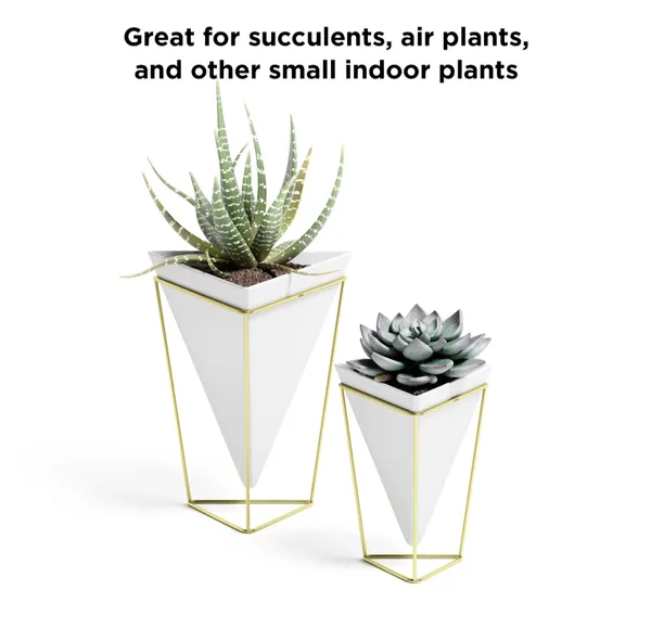 Desktop_Planter_Vase_&_Geometric_Container_-_Great_for_Succulent_Plants,_Air_Plant,_Mini_Cactus,_Faux_Plants_and_More