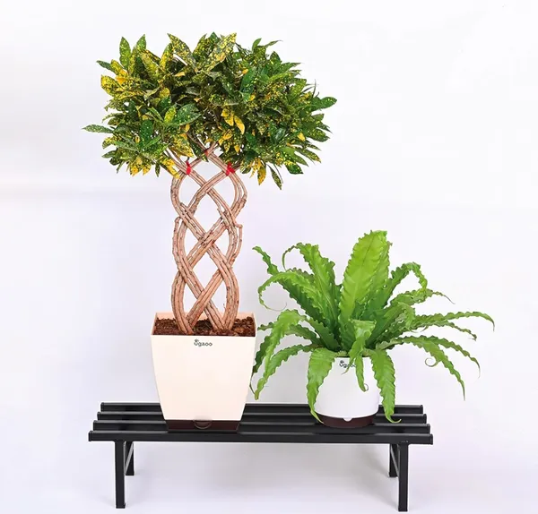 MAXXINN_Elevate_Square_Tube_Plant_Stand_(Set_of_2)_|_Heavy_Duty_Iron_Pot_Stand_for_Balcony,_Home_Decor,_Indoor_and_Outdoor_Use_(Black)