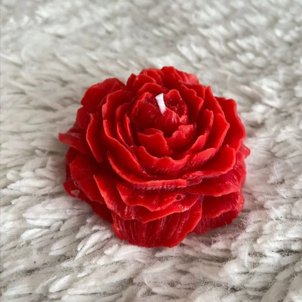 Peony_Flower_Candle_Set_of_2_?_Red_&_White,_Handcrafted_Soy_Wax_Scented_Decorative_Candles_for_Home_D?cor_&_Gifting
