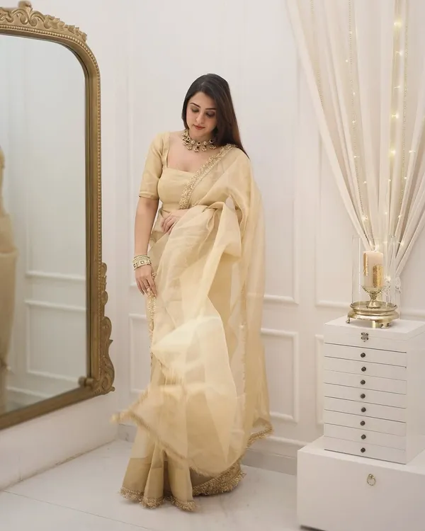 Chocolate_Soft_Tissue_Silk_Saree