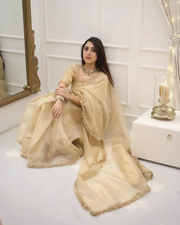 Chocolate_Soft_Tissue_Silk_Saree