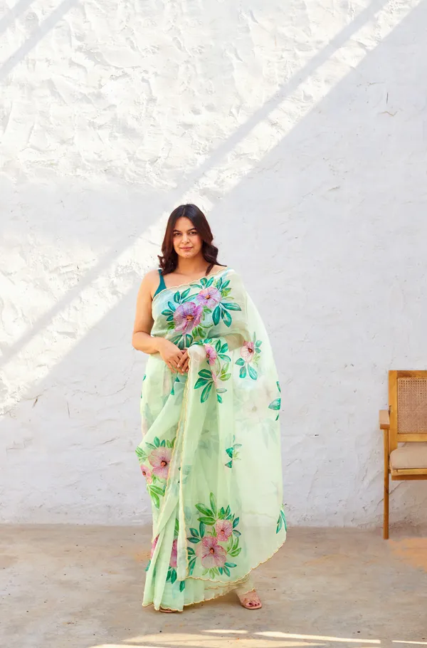Mint_Green_Organza_Motiwork_Embroidered_Saree