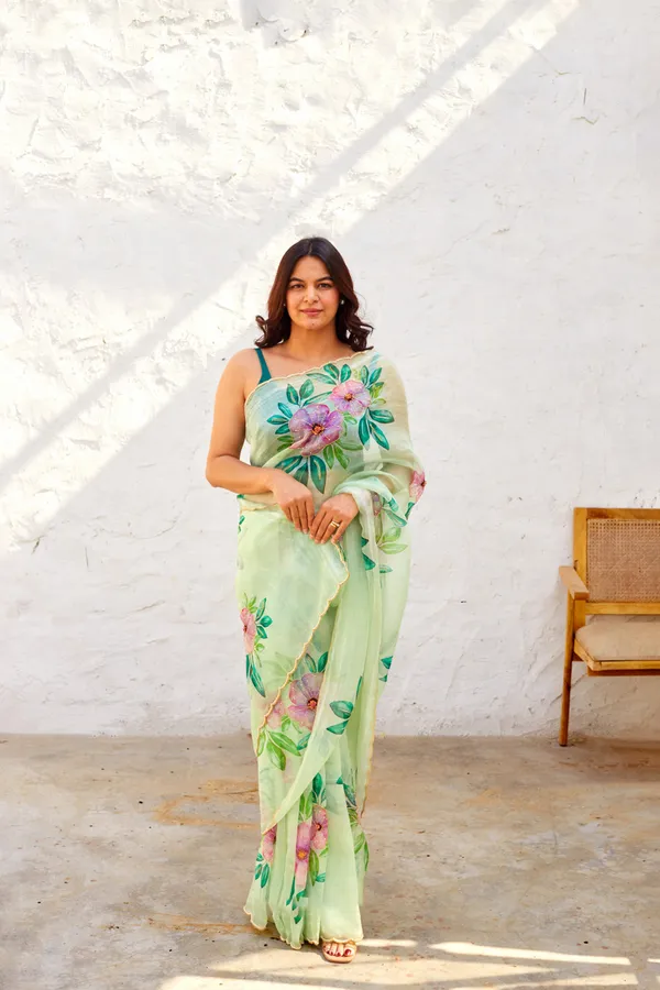 Mint_Green_Organza_Motiwork_Embroidered_Saree