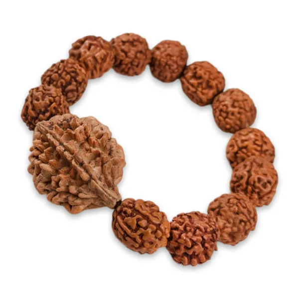 MAYAPURI_2_Mukhi_and_5_Mukhi_Rudraksha_Bracelet_for_Men_and_Women_Combo_(Pack_of_2)