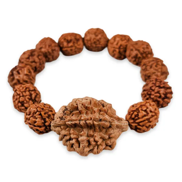 MAYAPURI_2_Mukhi_and_5_Mukhi_Rudraksha_Bracelet_for_Men_and_Women_Combo_(Pack_of_2)