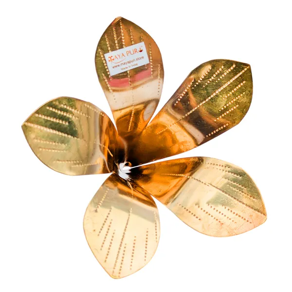 MAYAPURI_Original_Pital_Aam_Patta_or_Pure_Brass_Amra_Pallav/Pooja_Mango_Leaves_for_Daily_Puja_|_Golden_Colour,_Mango_Leaf_Size_4.5x4.5x4.5_inches_(Pack_of_1)