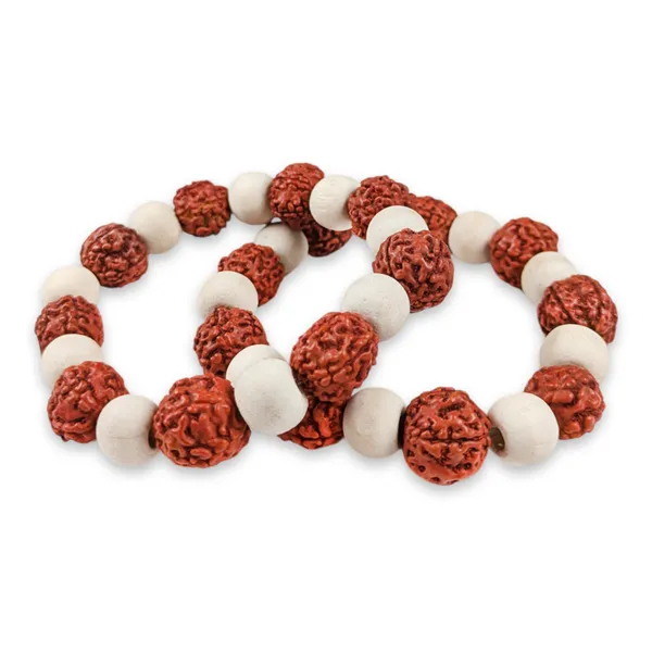 MAYAPURI_Tulsi_Rudraksha_Bracelet_5_Mukhi_Rudraksha_Tulsi_Bracelet_for_Men_and_Women_Combo_(Pack_of_2)