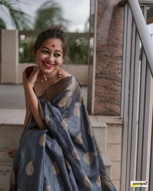 Beautiful_Grey_Banarasi_Saree_With_Matching__Blouse