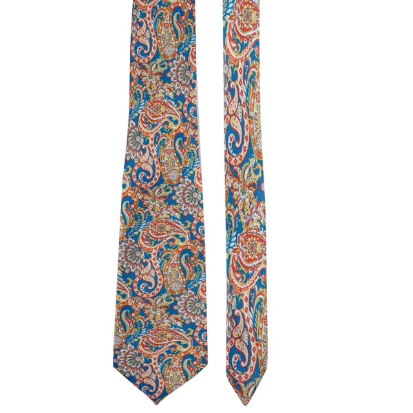 Calixto_Mens_Paisley_Tie_and_Pocket_Square_Set_Elegant_Rakhi