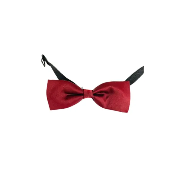 Maroon_Men_Fashion_Bow,_Cotton_Smooth_Fabric,_Single_Layered_Neck_Bow