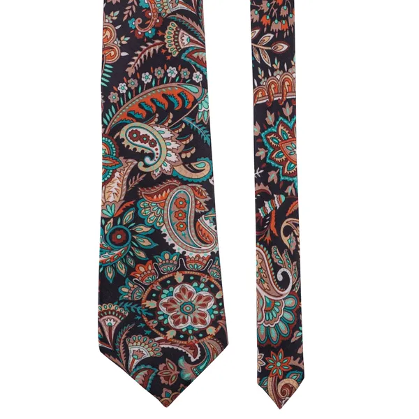 Calixto_Mens_Paisley_Tie_and_Pocket_Square_Set_Elegant_Rakhi