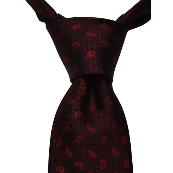 Calixto_Men's_Paisley_Necktie,_Black_and_Red,_Woven_Jacquard_Dot_Pattern,_Silk_Feel,_Formal_Business_Wedding_Classic_Neck_Tie