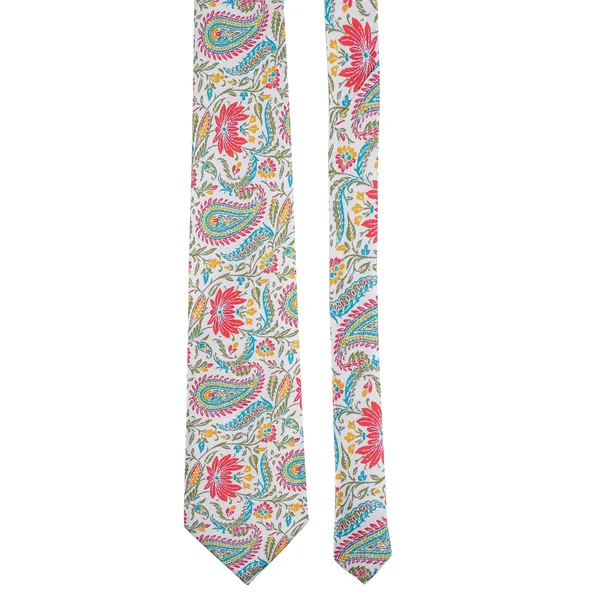 Calixto_Mens_Paisley_Tie_and_Pocket_Square_Set_Elegant_Rakhi