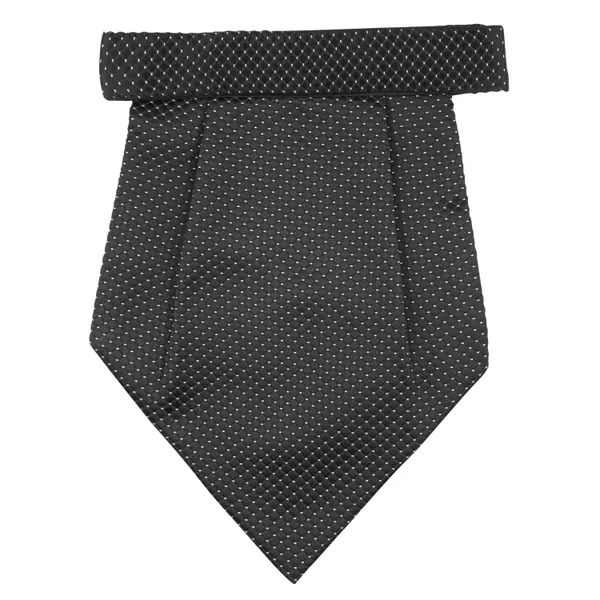 Calixto_Rajput_Men's_Cravat_-_100%_Polyester_Microfiber_Cravats_With_Pocket_Square,_Casual_Accessory_(Pack_Of_2)