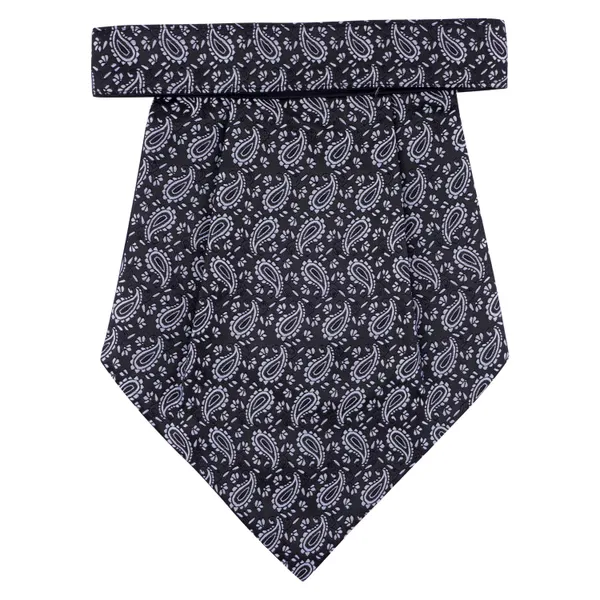 Calixto_Rajput_Men's_Cravat_-_100%_Polyester_Microfiber_Cravats_With_Pocket_Square,_Casual_Accessory_(Pack_Of_2)