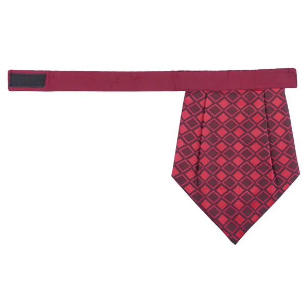 Calixto_Rajput_Men's_Cravat_-_100%_Polyester_Microfiber_Cravats_With_Pocket_Square,_Casual_Accessory_(Pack_Of_2)