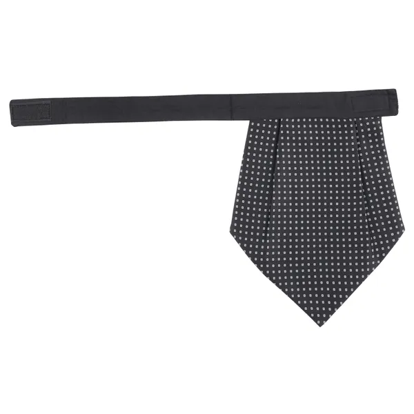 Calixto_Rajput_Men's_Cravat_-_100%_Polyester_Microfiber_Cravats_With_Pocket_Square,_Casual_Accessory_(Pack_Of_2)