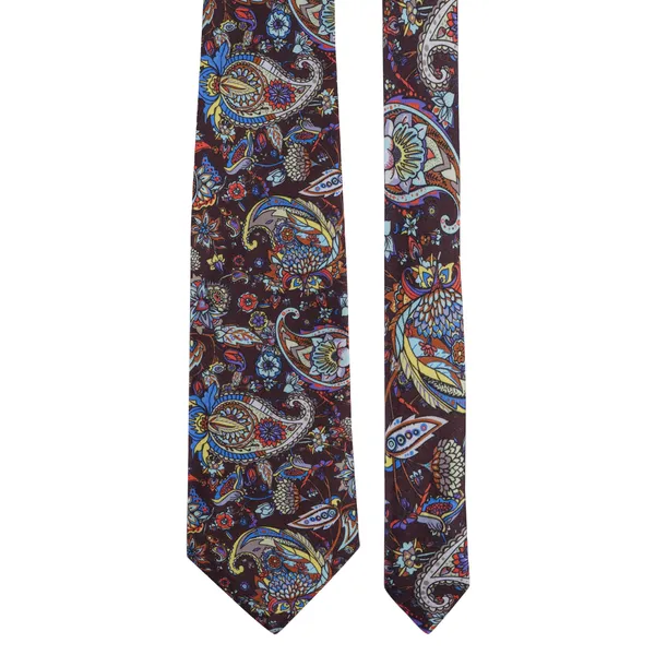Calixto_Satin_Paisley_Printed_Premium_Quality_Neck_Tie_for_Men_with_Matching_Pocket_Square_–_Elegant_Formal_Necktie_Set_for_Weddings,_Business_&_Party_Wear_(Pack_of_1)