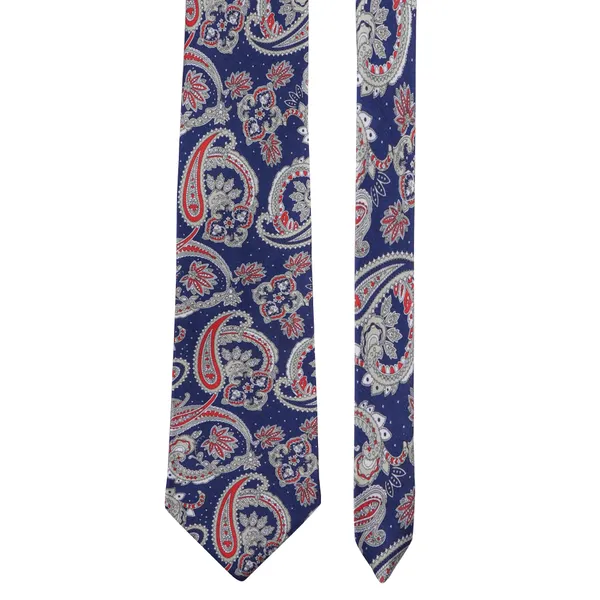 Calixto_Satin_Paisley_Printed_Premium_Quality_Neck_Tie_for_Men_with_Matching_Pocket_Square_–_Elegant_Formal_Necktie_Set_for_Weddings,_Business_&_Party_Wear_(Pack_of_1)