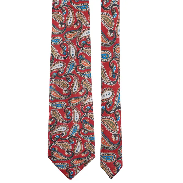 Calixto_Satin_Paisley_Printed_Premium_Quality_Neck_Tie_for_Men_with_Matching_Pocket_Square_–_Elegant_Formal_Necktie_Set_for_Weddings,_Business_&_Party_Wear_(Pack_of_1)