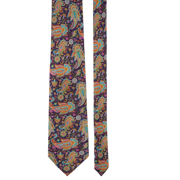 Calixto_Satin_Paisley_Printed_Premium_Quality_Neck_Tie_for_Men_with_Matching_Pocket_Square_–_Elegant_Formal_Necktie_Set_for_Weddings,_Business_&_Party_Wear_(Pack_of_1)