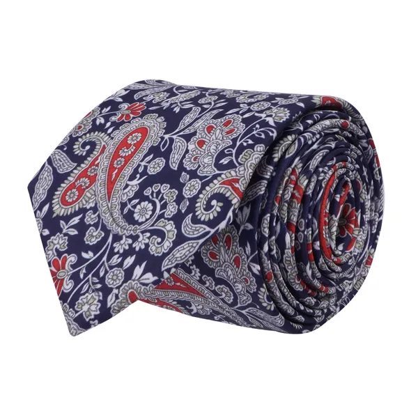Calixto_Mens_Paisley_Tie_and_Pocket_Square_Set_Elegant_Rakhi