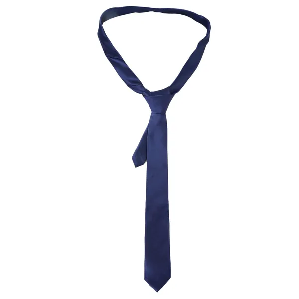 Royal_Blue_Solid_Design,_Poly_Cotton_Smooth_Fabric,_Solid_Slim_Neck_Tie