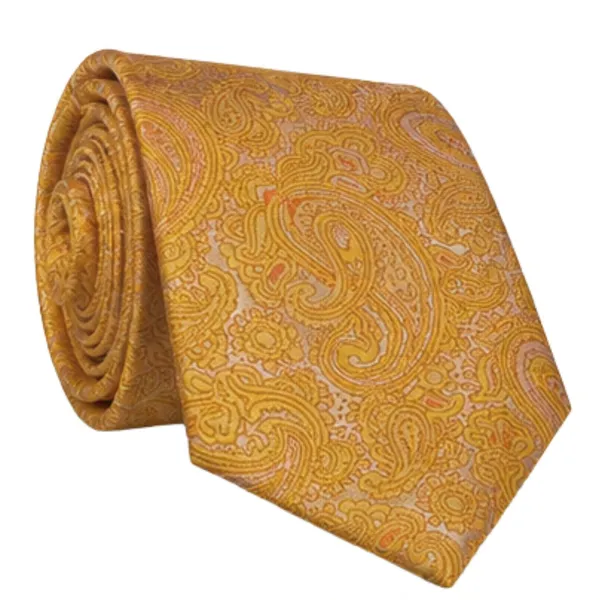 Men’s_Classic_Gold_Paisley_Neck_Tie_–_Elegant_Formal_&_Business_Dress_Tie_with_Intricate_Paisley_Pattern_–_Stylish_Tie_for_Weddings,_Office,_Parties,_Meetings_&_Special_Occasions