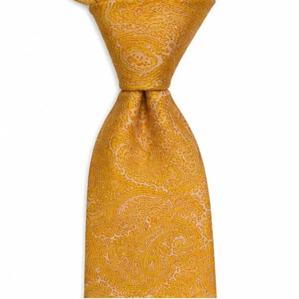 Men’s_Classic_Gold_Paisley_Neck_Tie_–_Elegant_Formal_&_Business_Dress_Tie_with_Intricate_Paisley_Pattern_–_Stylish_Tie_for_Weddings,_Office,_Parties,_Meetings_&_Special_Occasions