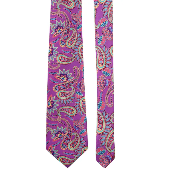 Calixto_Mens_Paisley_Tie_and_Pocket_Square_Set_Elegant_Rakhi