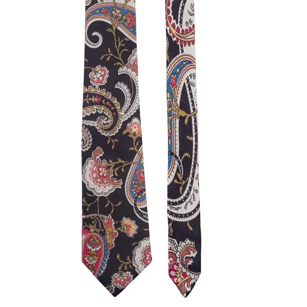 Calixto_Mens_Paisley_Tie_and_Pocket_Square_Set_Elegant_Rakhi