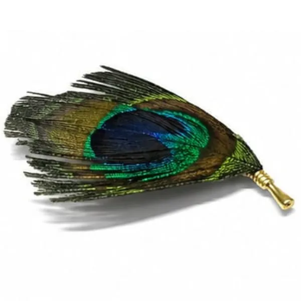 Peacock_Feather_Lapel_Pin_for_Men_&_Women_–_Elegant_Peacock_Feather_Brooch_Pin,_Colorful_Blue_Green_Feather_Suit_Jacket_Pin,_Decorative_Lapel_Pin_for_Weddings,_Parties,_Formal_Wear_&_Gifts