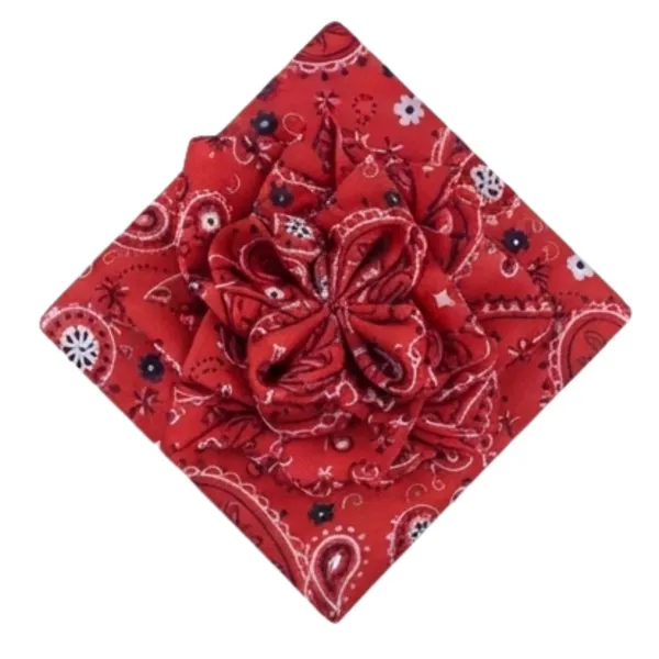 Premium_Men's_Designer_Necktie_Combo_Pack_of_2_|_Pink_Sky_Blue_Striped_Tie_&_Red_Paisley_Designer_Tie_|_Luxury_Formal_Business_Office_Wedding_Party_Neck_Tie_for_Men_|_Premium_Polyester_Silk_Finish_|_Fashion_Accessories
