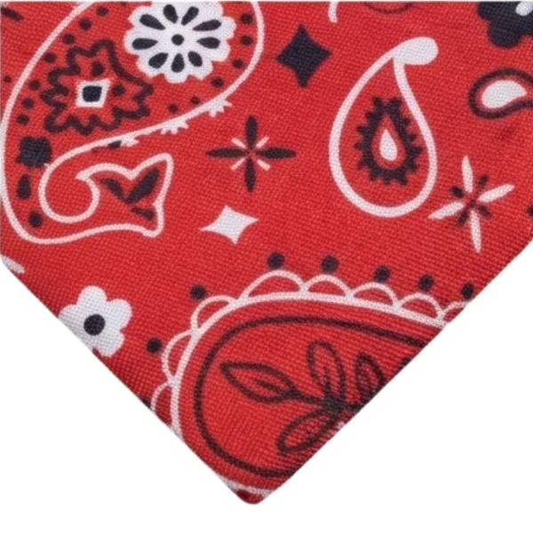 Premium_Men's_Designer_Necktie_Combo_Pack_of_2_|_Pink_Sky_Blue_Striped_Tie_&_Red_Paisley_Designer_Tie_|_Luxury_Formal_Business_Office_Wedding_Party_Neck_Tie_for_Men_|_Premium_Polyester_Silk_Finish_|_Fashion_Accessories
