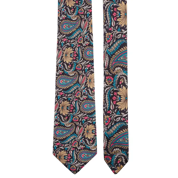 Calixto_Mens_Paisley_Tie_and_Pocket_Square_Set_Elegant_Rakhi