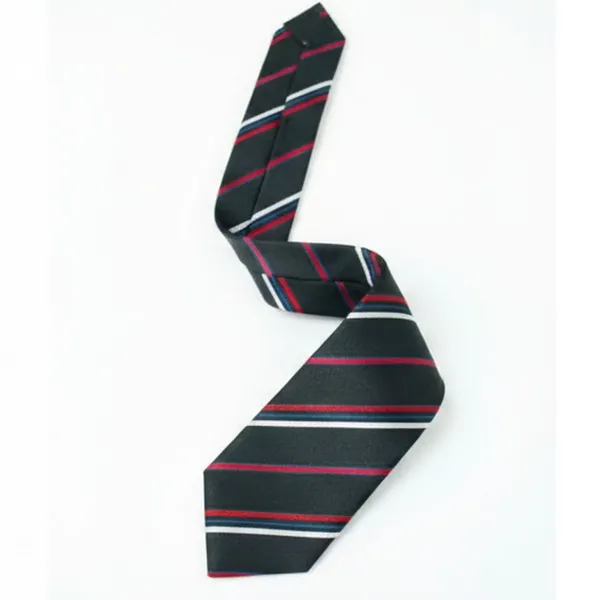 Multicolour_Stripes_Design,_Poly_Cotton_Smooth_Fabric,Neck_Tie_With_Pocket_Square
