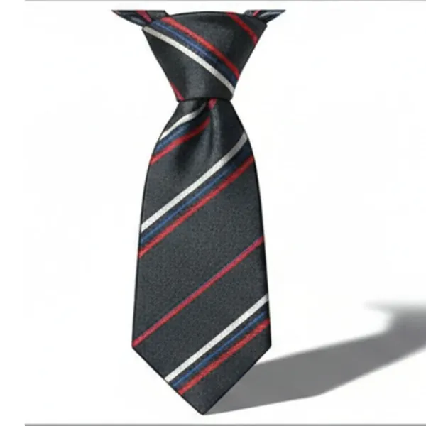Multicolour_Stripes_Design,_Poly_Cotton_Smooth_Fabric,Neck_Tie_With_Pocket_Square