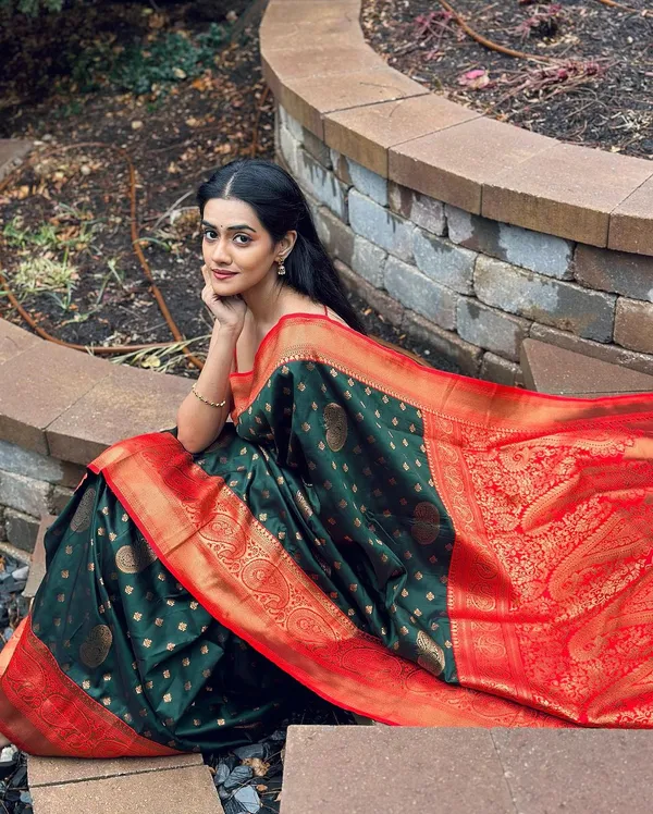 Woven_Kanjivaram_Jacquard_Banarasi_Silk_Saree