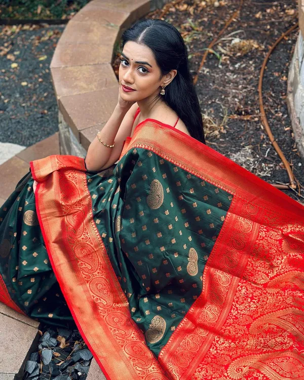 Woven_Kanjivaram_Jacquard_Banarasi_Silk_Saree