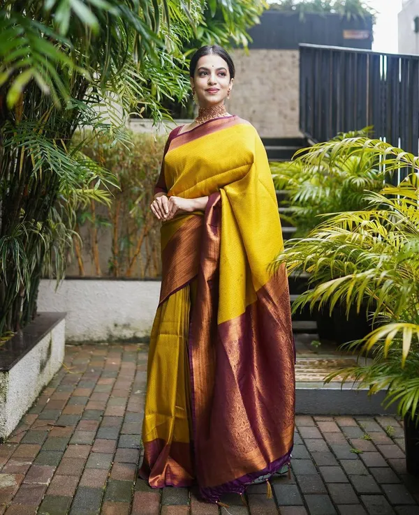 Woven_Kanjivaram_Jacquard_Banarasi_Silk_Saree